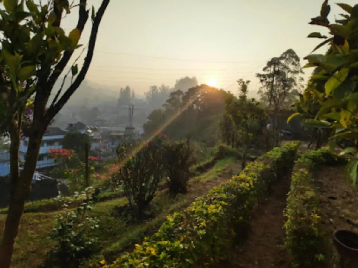 Rheinberg Town Haus Hotel Munnar Guest house